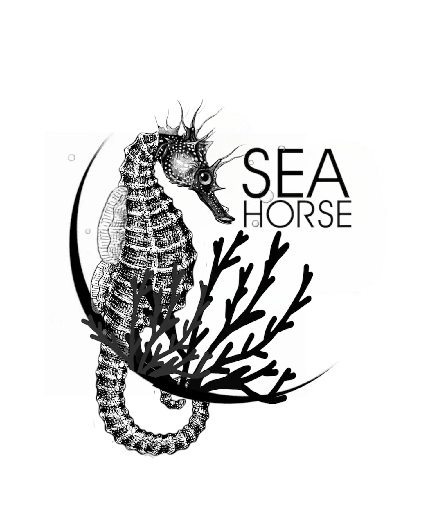 240+ Silhouette Of The Seahorse Tattoo Designs Stock Illustrations,  Royalty-Free Vector Graphics & Clip Art - iStock